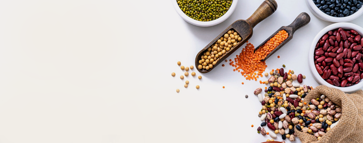 Sourcing of Pulses &amp; Grains from India